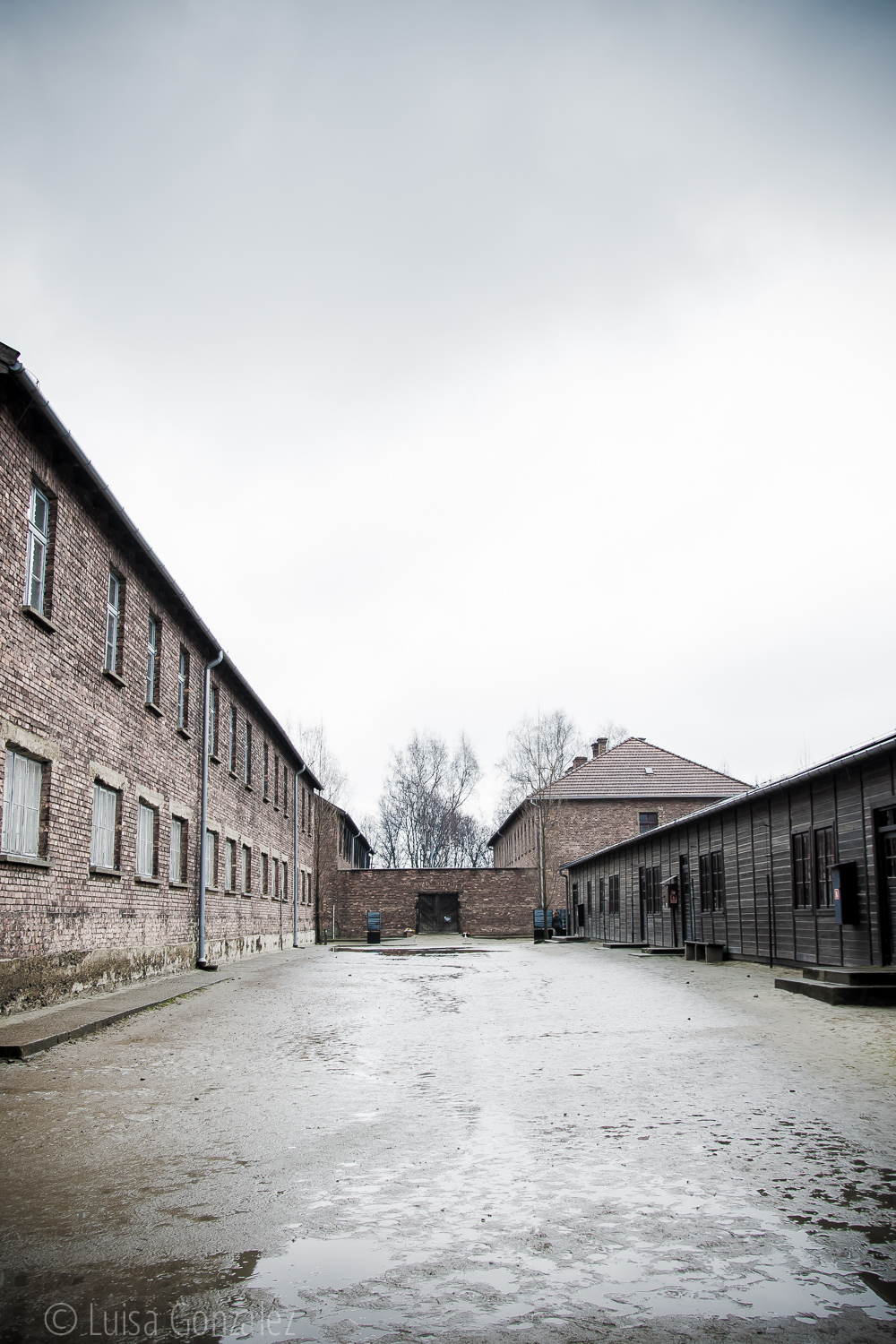 04-Auschwitz-LGGP-2015