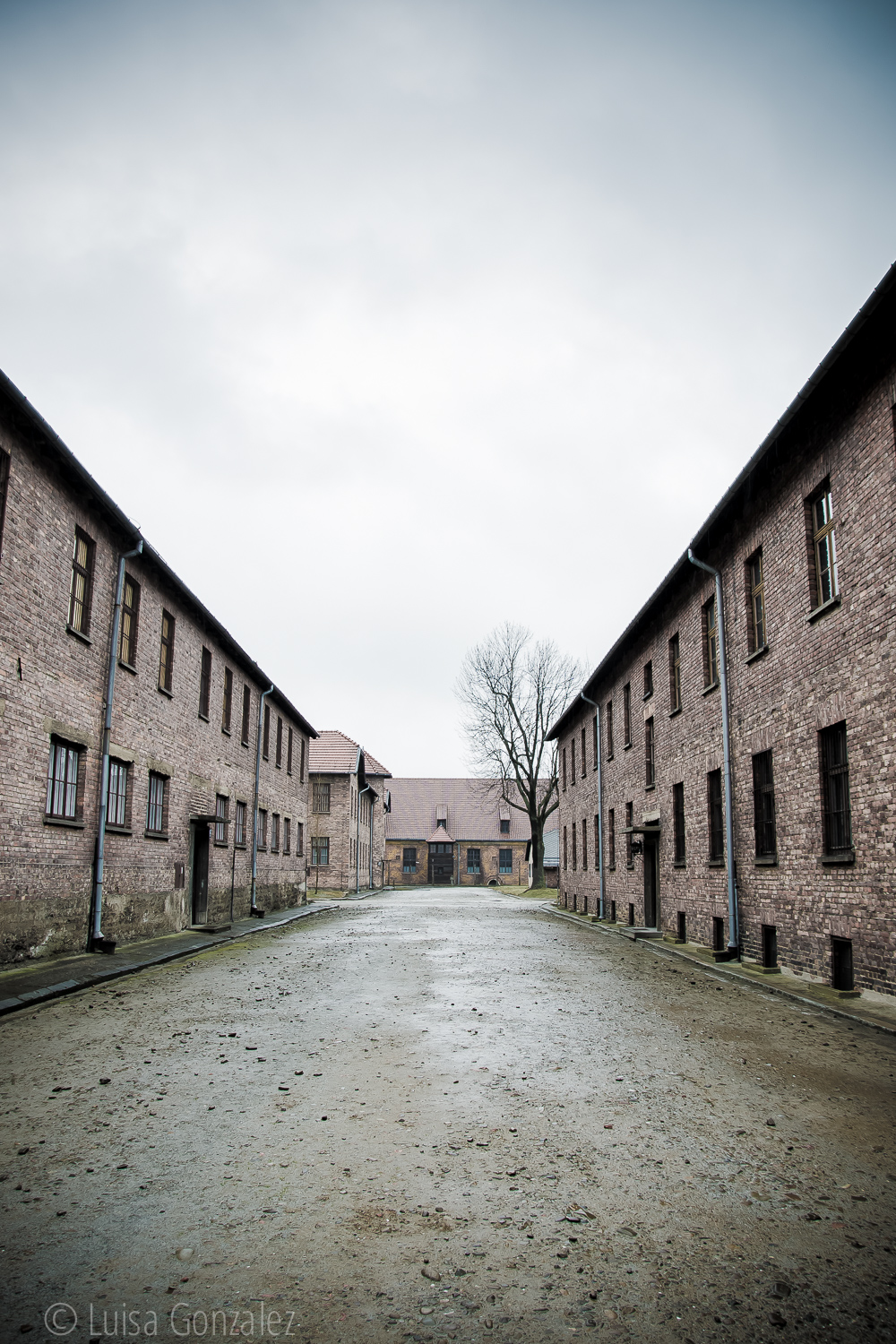 06-Auschwitz-LGGP-2015