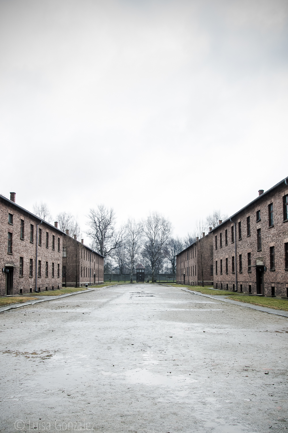 08-Auschwitz-LGGP-2015