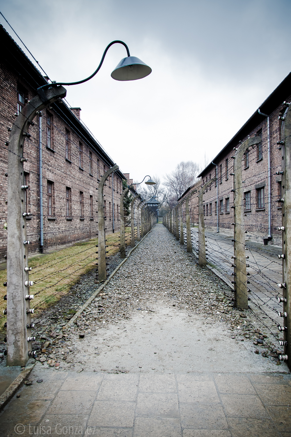 09-Auschwitz-LGGP-2015