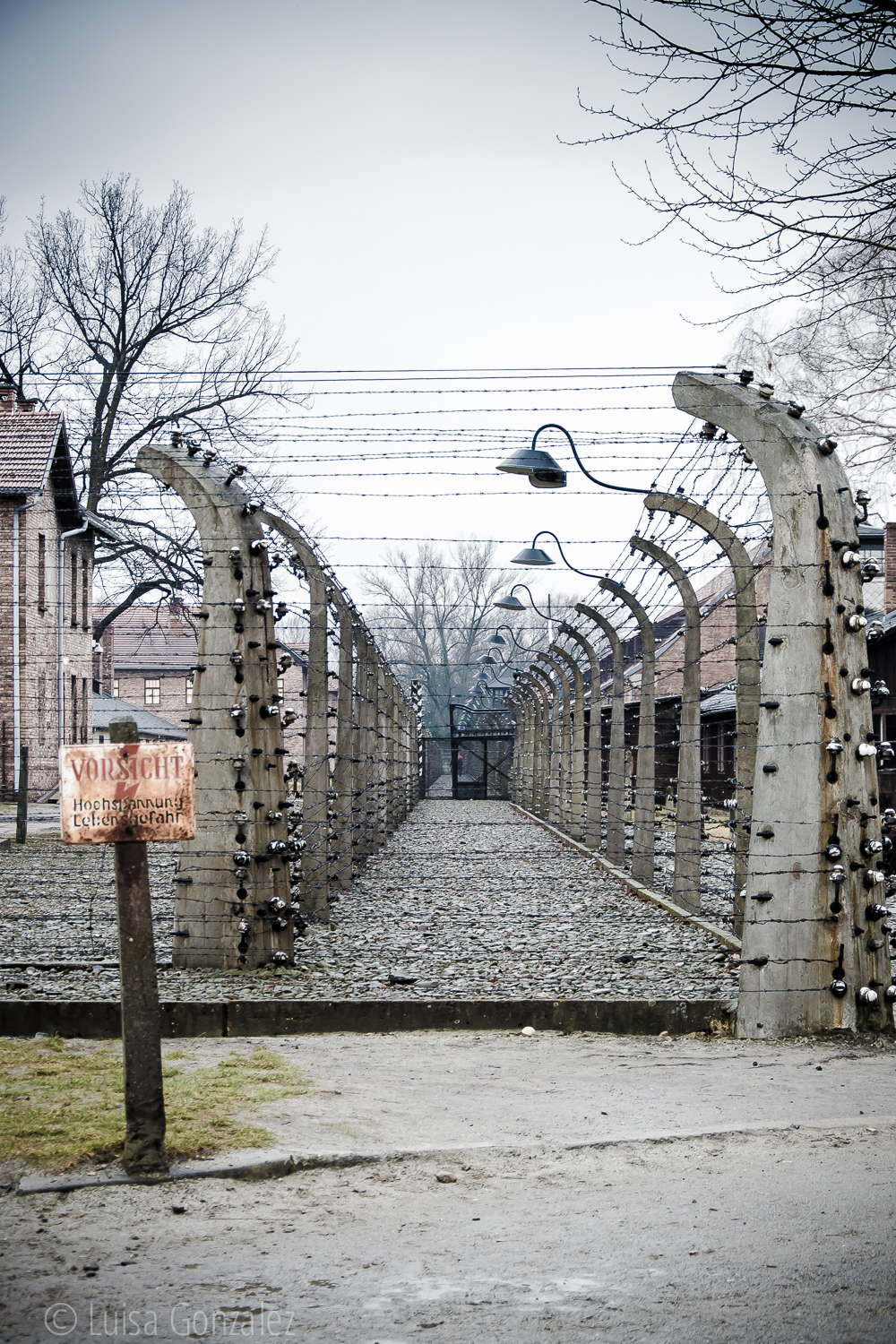10-Auschwitz-LGGP-2015